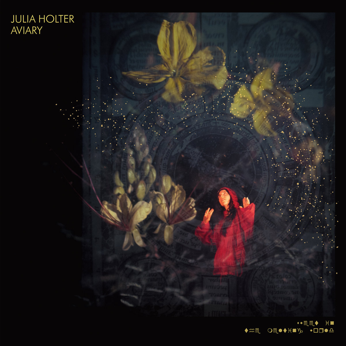 CD Julia Holter - Aviary
