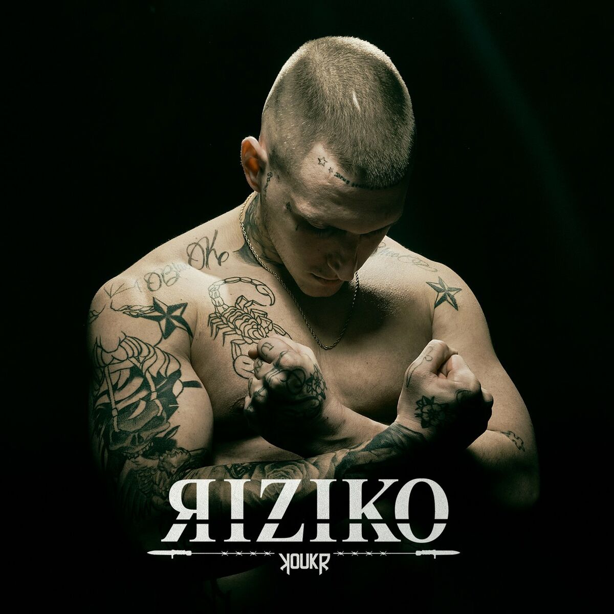 CD Koukr - Riziko