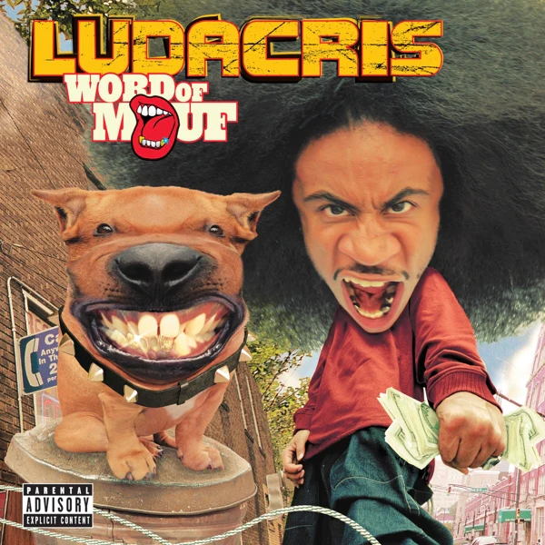 Vinyl Ludacris - Word Of Mouf