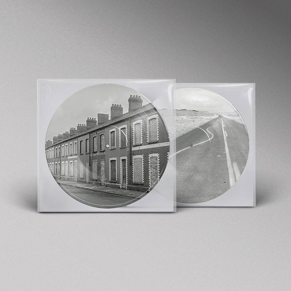 Vinyl Manic Street Preachers - Critical Thinking (Picture Vinyl)