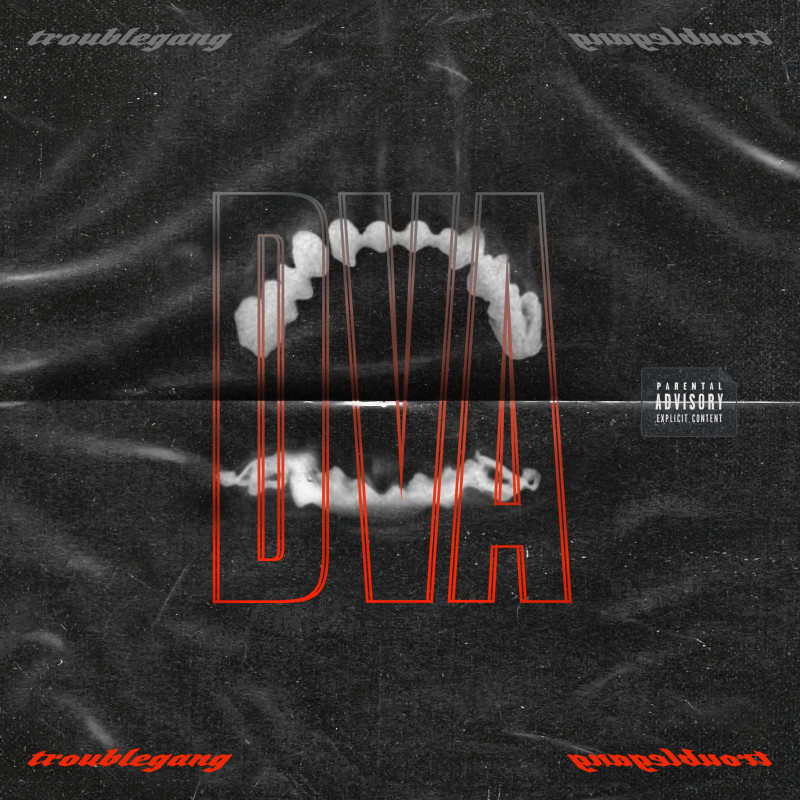 CD Troublegang - DVA