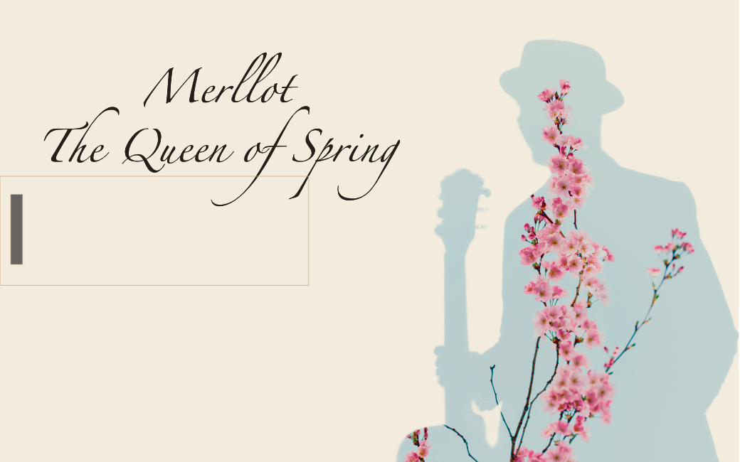USB Merllot - The Queen of Spring