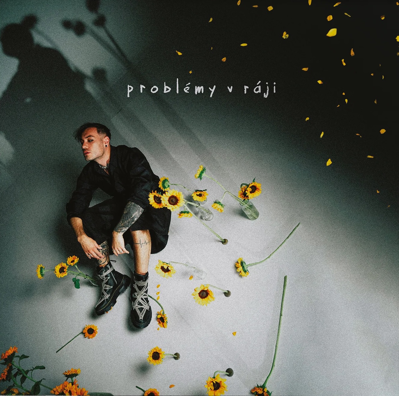 CD Renne Dang - problémy v ráji