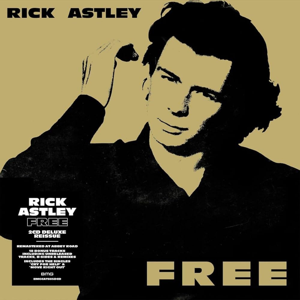 Vinyl Rick Astley - Free
