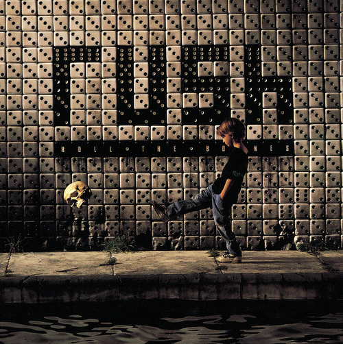 Vinyl Rush - Roll The Bones