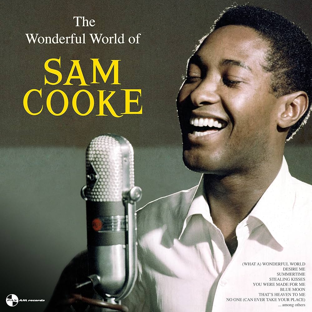 Vinyl Sam Cooke - Wonderful World: The Hits (Transparent Vinyl)