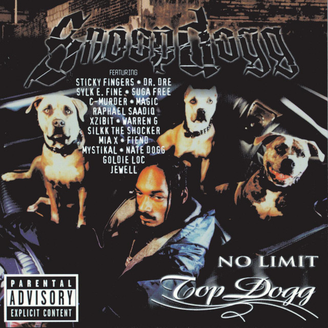 Vinyl Snoop Dogg - No Limit Top Dogg