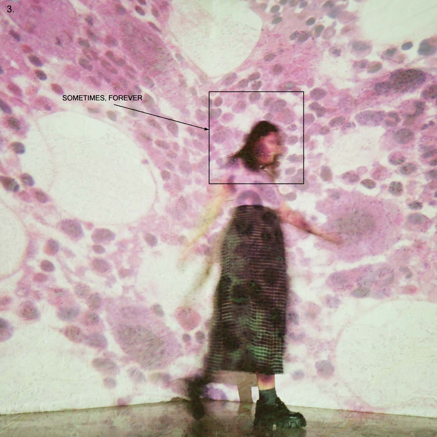Vinyl Soccer Mommy - Sometimes, forever