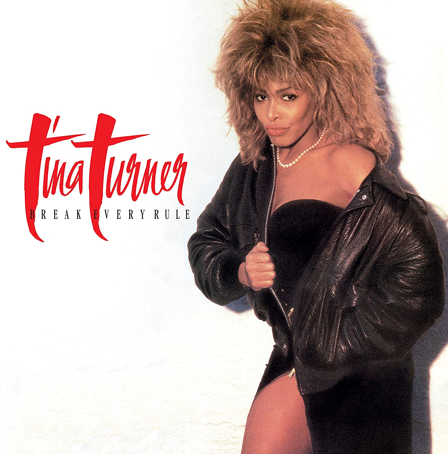 Vinyl Tina Turner - Break Every Rule