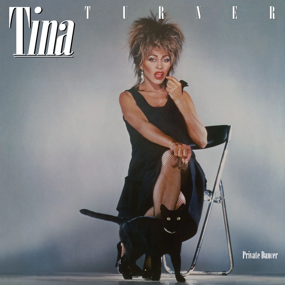Vinyl Tina Turner - Private Dancer (40th Anniversary Edition) (White Vinyl)