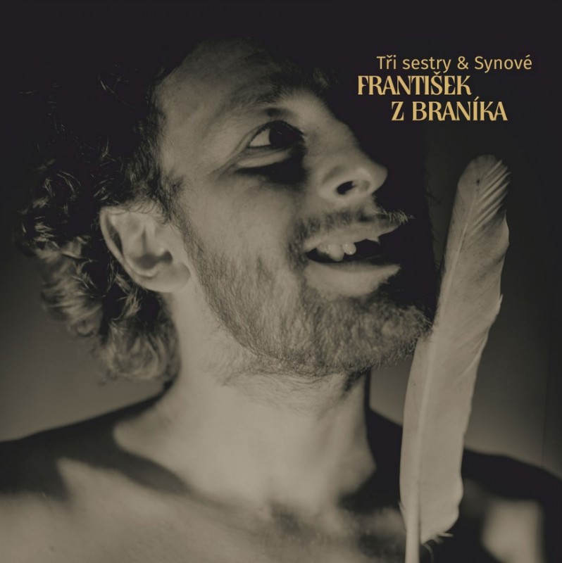 Vinyl Tři Sestry - Tři Sestry & Synové - František Z Braníka