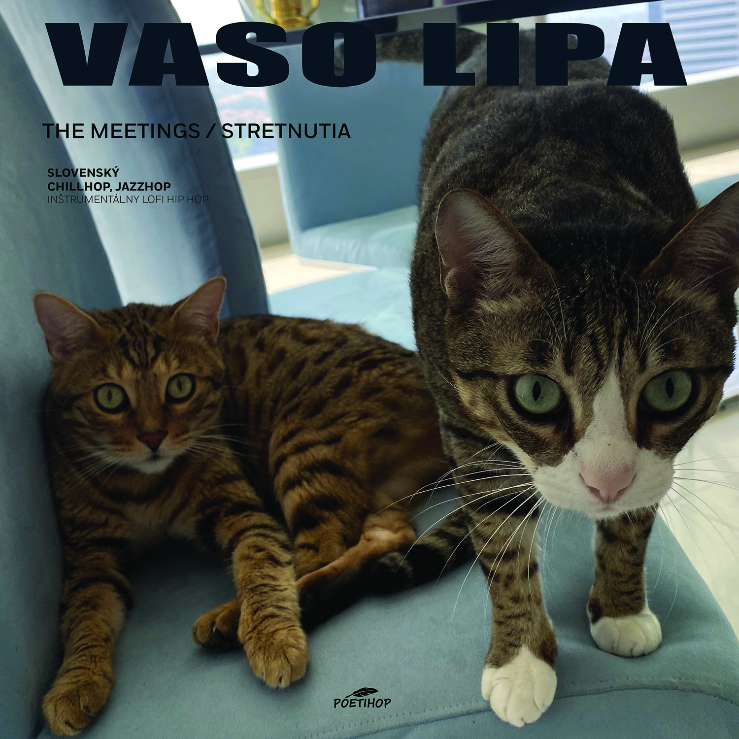 Vinyl Vaso Lipa - The Meetings/ Stretnutia