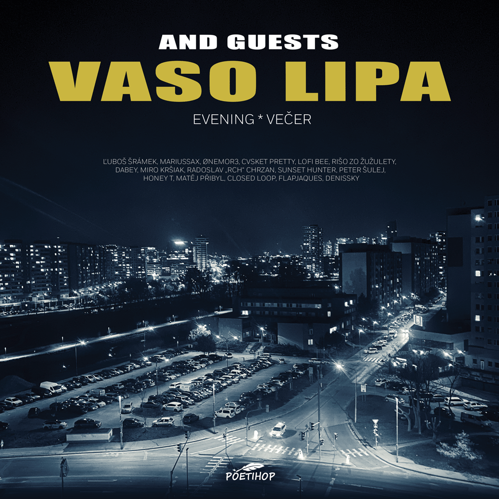 Vinyl Vaso Lipa - Evening