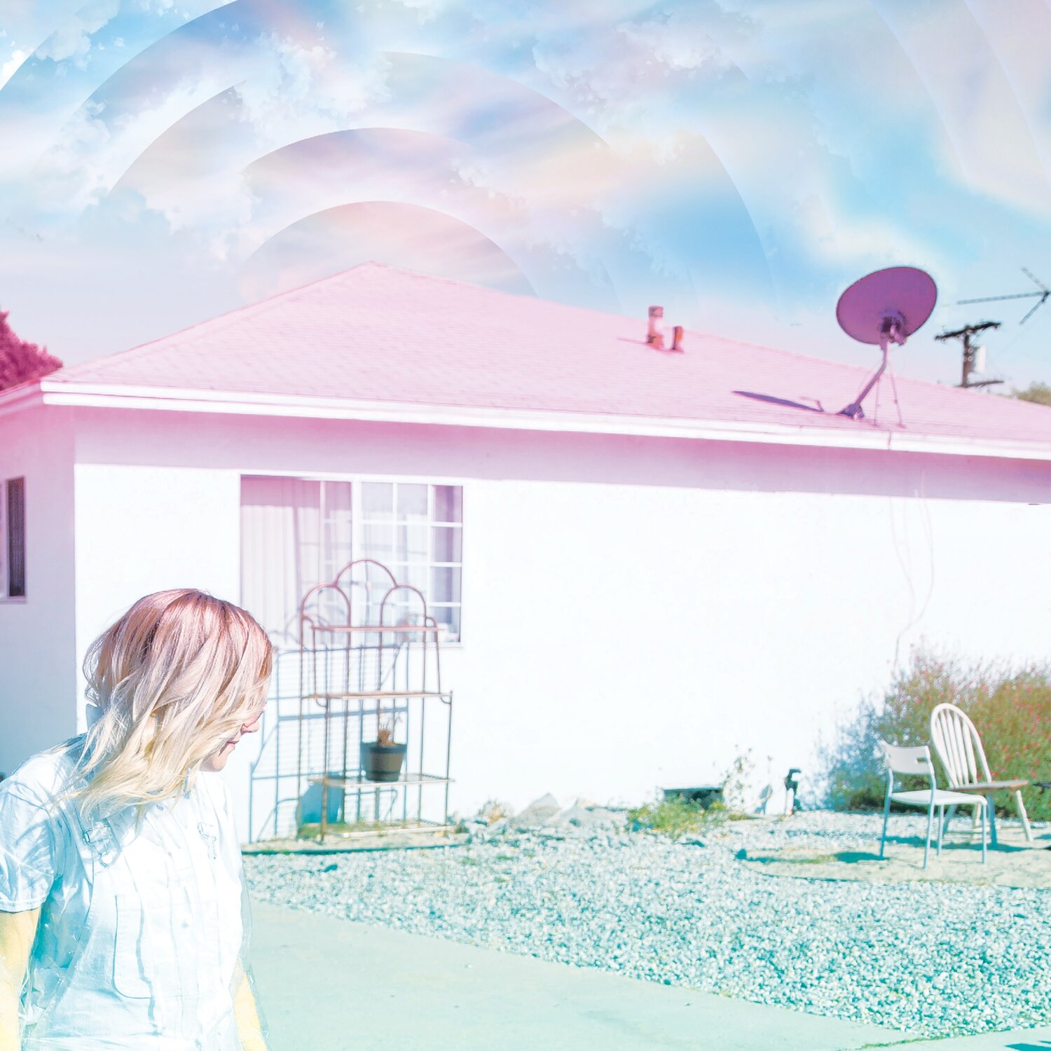 CD VITA AND THE WOOLF - ANNA OHIO