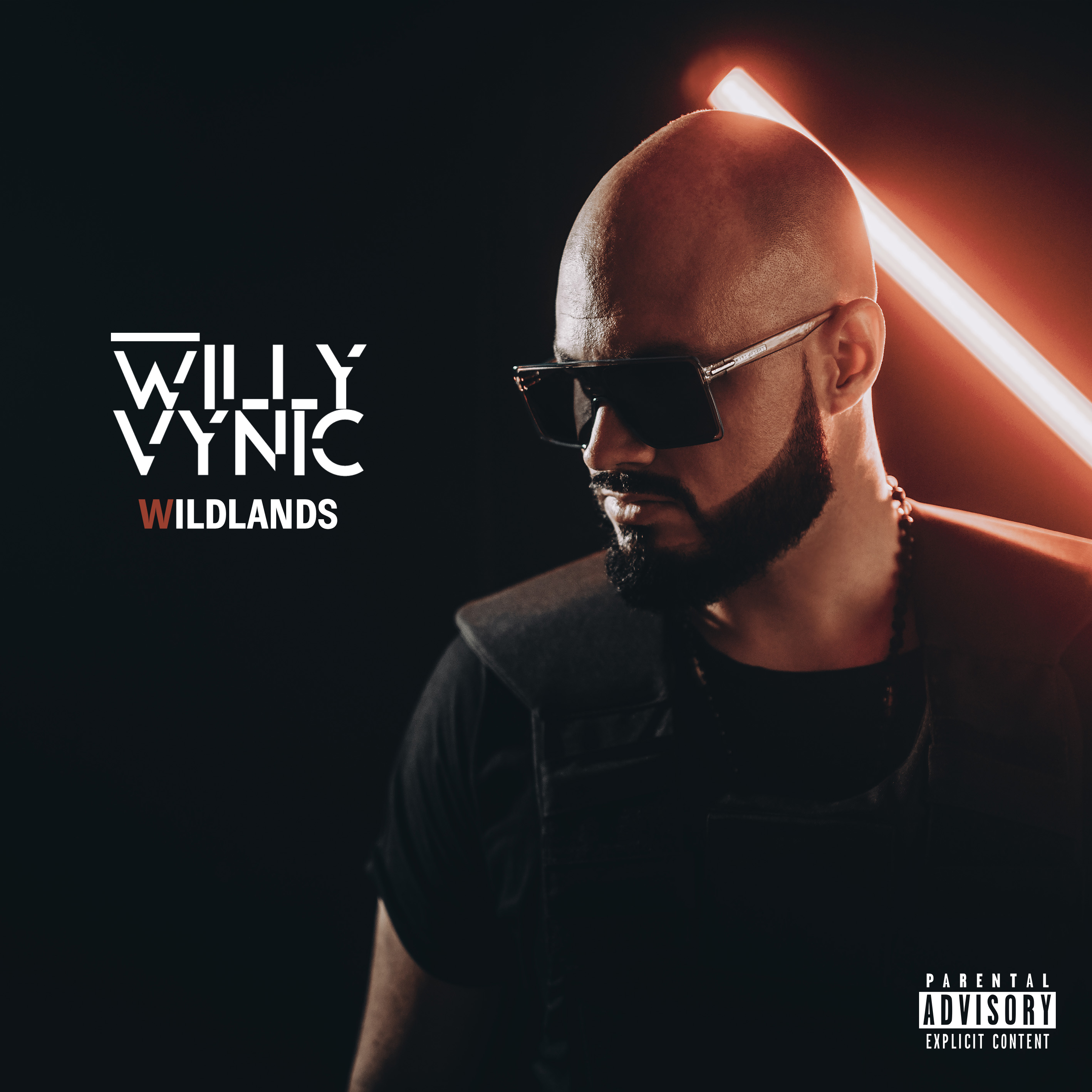 CD Willy Vynic - Wildlands
